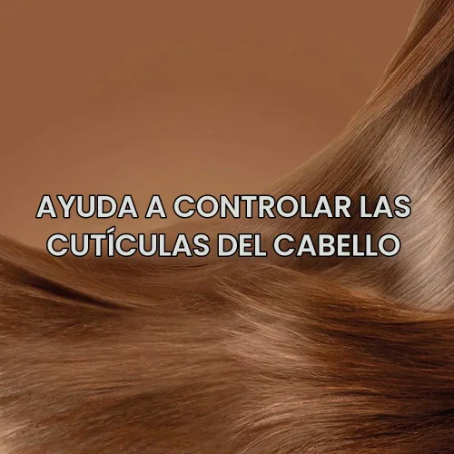 Vista 7 de organix OGX - Acondicionador de terapia brasileña de 13 fl oz, queratina, 13 onzas, (paquete de 3)