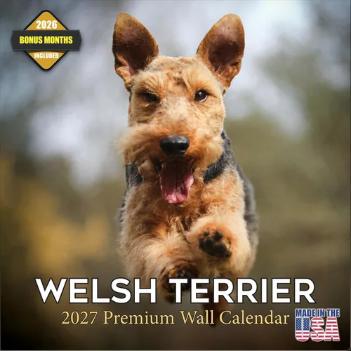 Vista 99 de Calendario de Lebrel Afgano 2025 2026, calendario mensual de pared de raza canina, 12" x 18" abierto, papel grueso sin traspaso, ideal para regalo