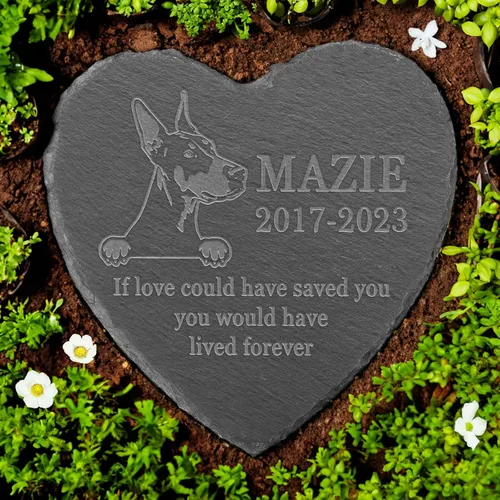Vista 17 de Memorial personalizado de American Staffordshire Terrier, lápida de American Staffordshire Terrier, condolencias por pérdida de American