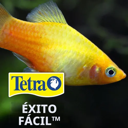 Vista 6 de TetraPro Tropical Color Crisps, Alimento para Peces con Realzadores de Color Natural, Comida para Peces Tropicales, 7.41 Onzas