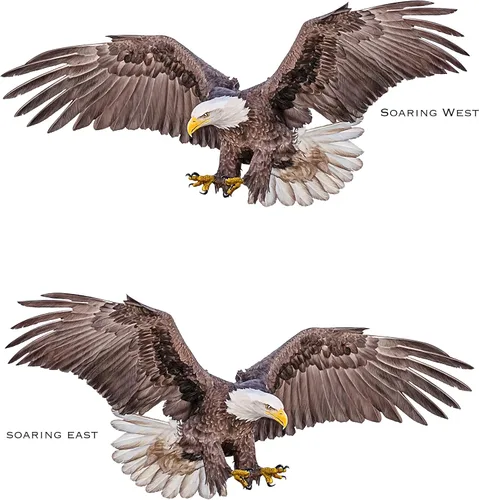 Vista 2 de Paquete de 2 calcomanías de vinilo de águila calva – Eagle About to Catch Prey Motion – Calcomanías de vinilo para automóvil, camión, motocicleta