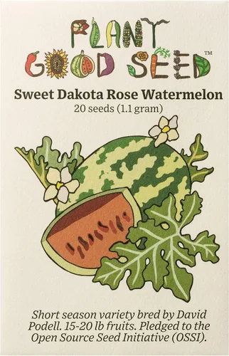Vista 9 de Plant Good Seed Semillas orgánicas de melón helado – Paquete de 35, semillas de reliquia para plantar frutas, verduras, suministros de jardinería