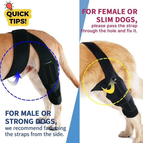 Vista 2 de INDEEMAX Rodillera de perro para pierna trasera, soporte para piernas de perro para perros grandes a pequeños con displasia de cadera, pierna