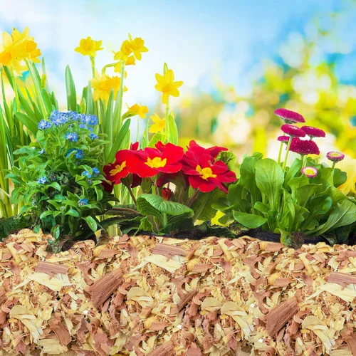 Vista 4 de 100 % natural de virutas de cedro Mantillo Ideal para plantas de interior o exterior en macetas Cama para perros (4 cuartos)