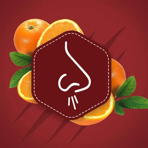 Vista 13 de Old Spice Desodorante sin aluminio para hombres, Wolfthorn, protección de 48 horas, 3 onzas cada uno, paquete de 3