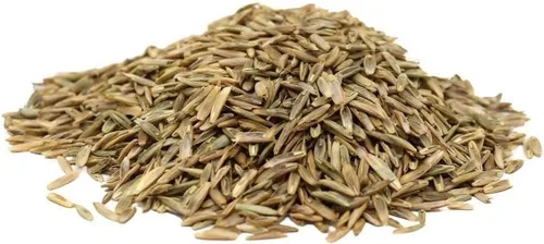 Vista 2 de Hancock's Pasture Ryegrass Seed - 50 libras.