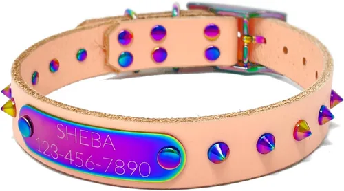 Vista 7 de Collar de perro de cuero con brida hecha a mano, grabado arco iris de acero inoxidable (negro)