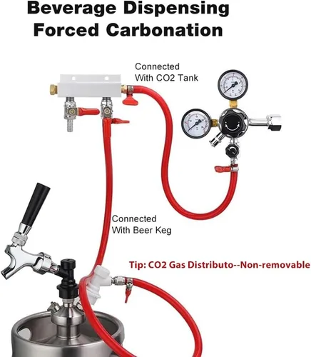 Vista 5 de FERRODAY Colector de gas de 2 vías, colector de válvulas de retención integrado de púas de 5/16 pulgadas CO2 Distributor with 2 Independent Shut