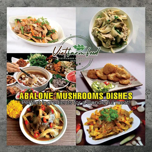 Vista 7 de SETAS ABALONE SECAS 5.29 Oz (5.29 oz) VIETFARMFOOD: Productos agrícolas secos con sabor natural puro. Utilizados como ingredientes de cocina