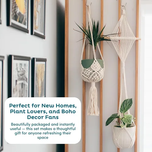 Vista 8 de Nook Theory Paquete de 4 Colgadores de Macramé para Plantas con 8 Ganchos - Macetas Colgantes para Plantas de Interior, Colgadores de Macramé Boho