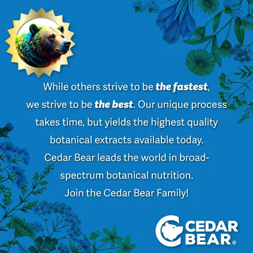 Vista 5 de Cedar Bear Suprarrenal Balance - Suplemento líquido a base de hierbas con adaptógenos que combaten la fatiga, controlan el estrés y aumentan