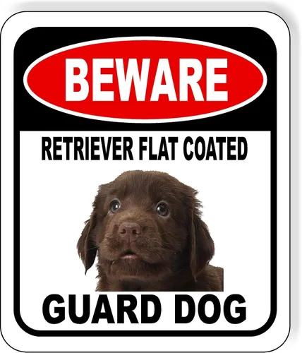 Vista 97 de BEWARE BASSETT HOUND GUARD DOG - Letrero compuesto de aluminio para exteriores, 8.5 x 10 pulgadas CUIDADO BASSETT HOUND GUARD PERRO