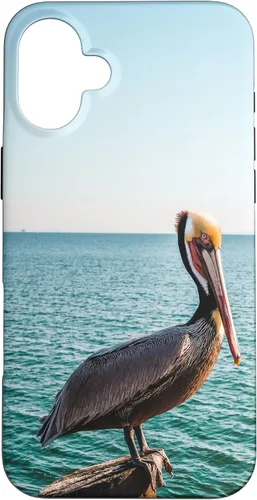 Vista 22 de iPhone 11 Pelican Case