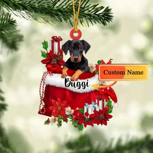Vista 112 de Perro Akita Inu personalizado en bolsa de regalo, adorno de Navidad, nombre personalizado, regalo para amantes de los perros, familia, Navidad