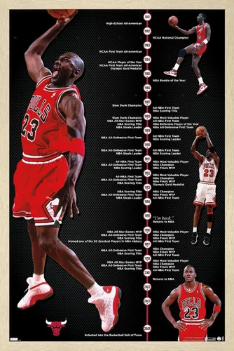 Vista 7 de Trends International Michael Jordan - Póster de pared de línea de tiempo, 14.725 x 22.375 pulgadas, versión enmarcada de madera de granero