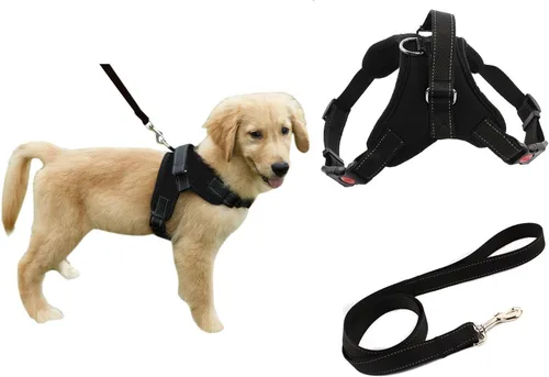 Vista 10 de Juego de arnés de seguridad con correa para perro resistente y ajustable al cuello, correa acolchada que no ocupa que la jales, transpirable