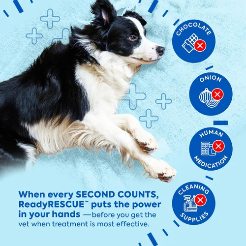 Vista 7 de Dr. Cuddles ReadyRESCUE – Carbón Activado de Nueva Generación para Perros y Gatos, 30g - Desintoxicación de Toxinas de Grado Veterinario - Botiquín