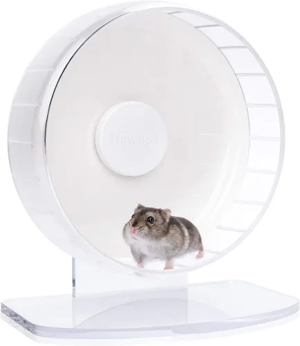 Vista 30 de Niteangel Ruedas de ejercicio súper silenciosas para hámster: ruedas giratorias silenciosas para hámster con soporte ajustable para hámsters, Verde