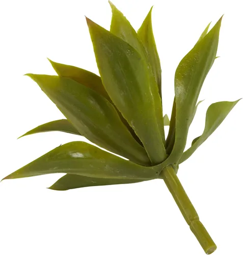 Vista 5 de Nearly Natural 6110-S12 Planta suculenta de agave, mini, juego de 12
