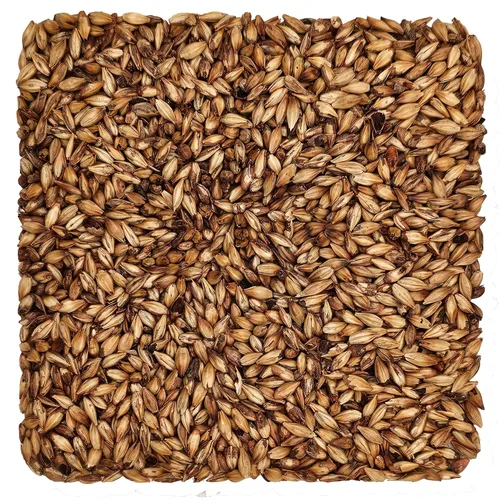 Vista 14 de Briess 26-QVZH-HVSI Grano de malta de cerveceros estadounidenses para elaboración de cerveza y cerveza casera 1 lb. (2 filas de cerveceros), marrón