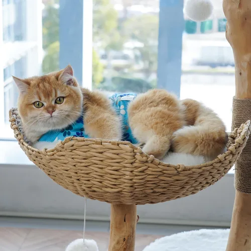 Vista 5 de Traje de recuperación para gatos: Traje de poscirugía azul suave para gatos con diseño de huella de pata - Traje de recuperación elástico