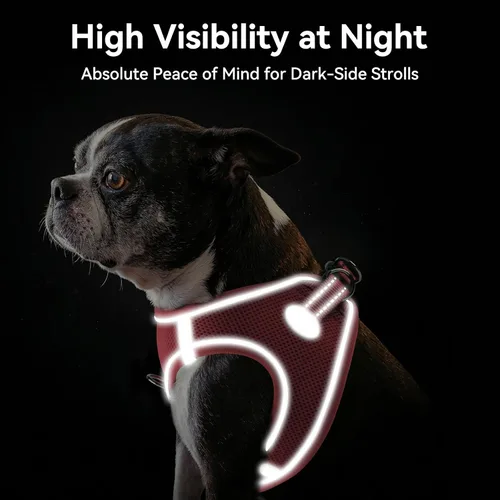 Vista 34 de Joytale Arnés para Perros Pequeños, Chaleco de Malla Transpirable Step-in, Arneses Acolchados Suaves Reflectantes para Gatos y Perros Cachorros