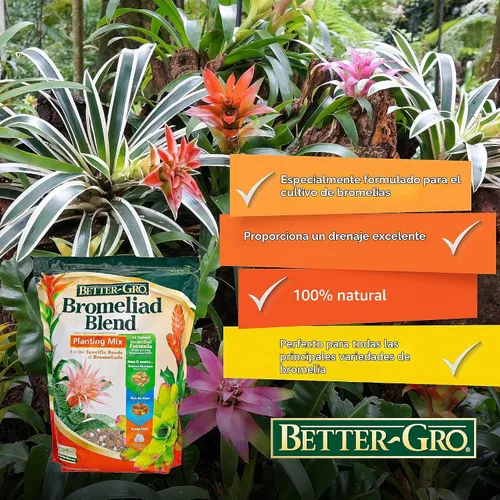 Vista 8 de Better-Gro - Mezcla de bromelia para macetas para plantas tropicales, 8 cuartos de galón