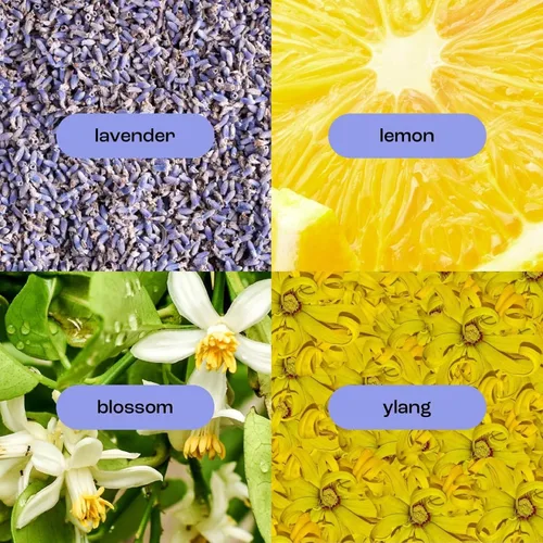 Vista 4 de Natural Inspirations Aceite seco para cuerpo y cara de lavanda Ylang 4oz