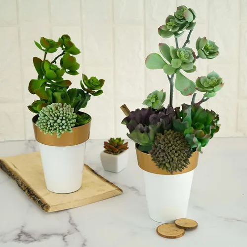 Vista 7 de Efavormart - Paquete de 2 macetas decorativas para interiores y jardines con borde blanco y dorado de 6 pulgadas