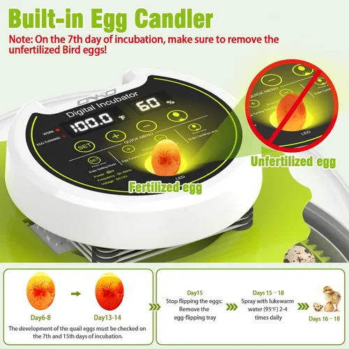 Vista 6 de Incubadora de huevos de codorniz con girador automático y control de humedad, incubadora de aves capaz de incubar 40 huevos de codorniz, incubadoras