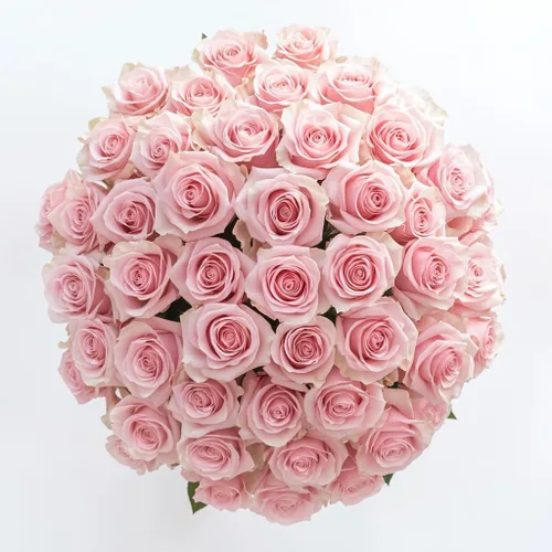 Vista 10 de GlobalRose Ramo de 50 rosas surtidas, rosas de origen responsable, flores frescas, ramo fresco de flores seleccionadas a mano para el día