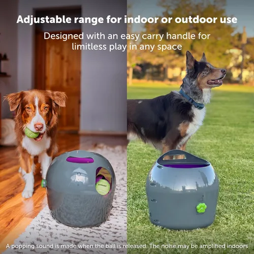 Vista 4 de PetSafe Lanzador Automático de Bolas - Juego Interactivo de Búsqueda - Entrenamiento de Búsqueda Sin Manos - Rango Ajustable - Incluye Bolas