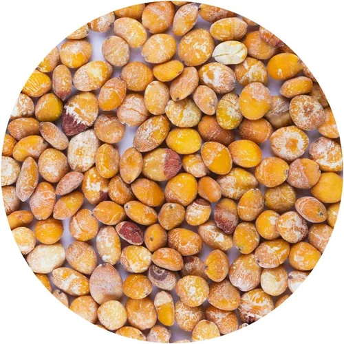 Vista 2 de Hierbas secas de nueces de ginko puras naturales orgánicas a granel, 10.58 onzas (10.58 oz)