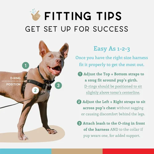 Vista 5 de Wildebeest Arnés sin tirones para perro, cómodos arneses de entrenamiento, diseño eficaz de arnés sin tirones, ideal para perros pequeños