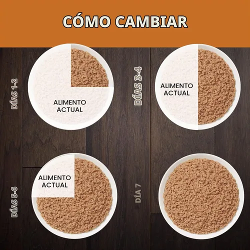 Vista 9 de Pro Plan Veterinary Diets Purina NF Kidney Function Advanced Care - Paté de comida húmeda para gatos adultos (paquete de 24) latas de 5.5 onzas