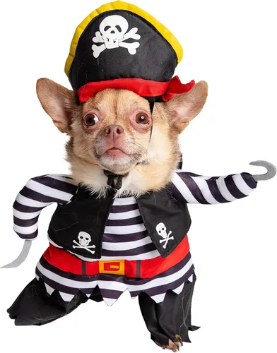 Vista 8 de Disfraz de pirata perro - Edición limitada, M, Negro, rojo, blanco