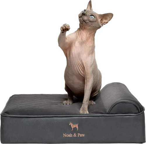 Vista 34 de NOAH & PAW Cama pequeña para perros, 20 x 15 x 6.5 pulgadas, cama para gatos de interior, espuma viscoelástica ortopédica de cáscara de huevo Verde