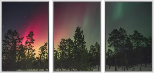 Vista 32 de wall26 Lienzo enmarcado para pared, juego de arte de selva, rana, hoja de palmera, naturaleza, desierto, arte moderno, realismo, decorativo