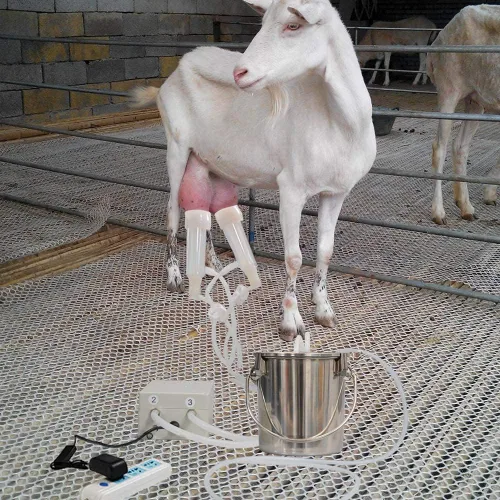 Vista 5 de ordeñadora eléctrica del vacío de la pulsación de la cabra 3L con 2 tazas