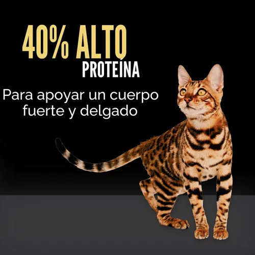 Vista 5 de CRAVE Alimento seco natural para gatos adultos con alto contenido