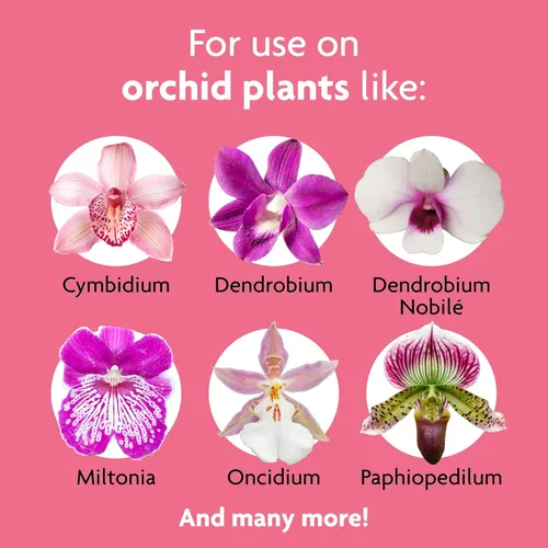 Vista 2 de Miracle-Gro Picos de alimento para plantas de orquídeas