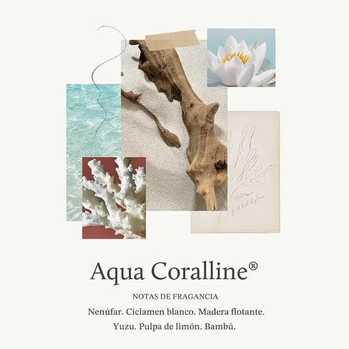 Vista 2 de Thymes Crema de manos - 3 Fl Oz - Aqua Coralline