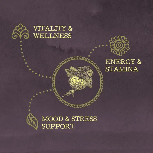Vista 4 de Polvo de raíz de maca orgánica amarilla – 8 gramos de superalimento orgánico adaptogénico por porción, apoya la energía, la resistencia, el estado