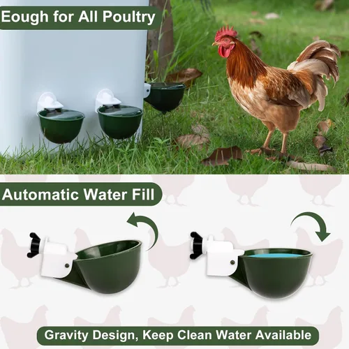 Vista 2 de Paquete de 12 tazas de agua para pollo, cuenco alimentador automático de llenado, sistema de riego por gravedad para aves de corral, dispensador