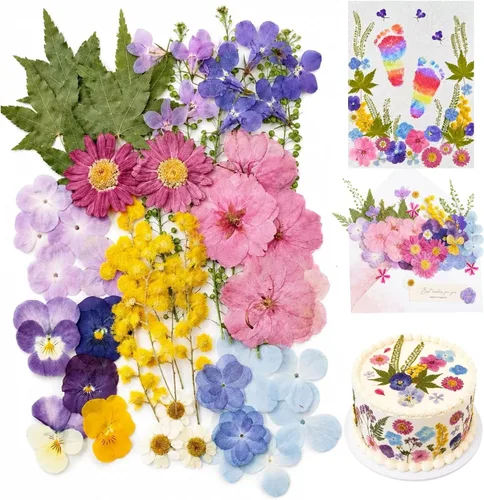 Vista 10 de Pressed Dried Flowers for Crafts, 50 Pcs Real Dried Flowers for Resin Romantic