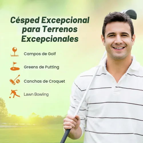 Vista 5 de Outsidepride PC2.0 (Penncross) - Semillas de césped dobladas rastreras – 1 libra de grado de campo de golf premium, densas y resistentes al desgaste