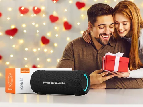 Vista 9 de Passau Altavoces Bluetooth portátiles con sonido estéreo de pico de 40 W, radiadores pasivos, graves profundos, reproducción durante todo el día