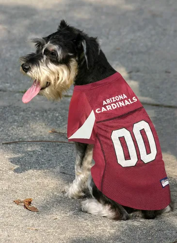 Vista 3 de Camiseta de los Arizona Cardinals de la NFL para Perro - Talla X-Small, Disfraz de Jersey de Fútbol para Perros y Gatos