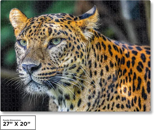 Vista 7 de QuizQuirk - Rompecabezas de 1000 piezas, rompecabezas de leopardo audaz para adultos/adolescentes (kit de ahorro de rompecabezas incluido)