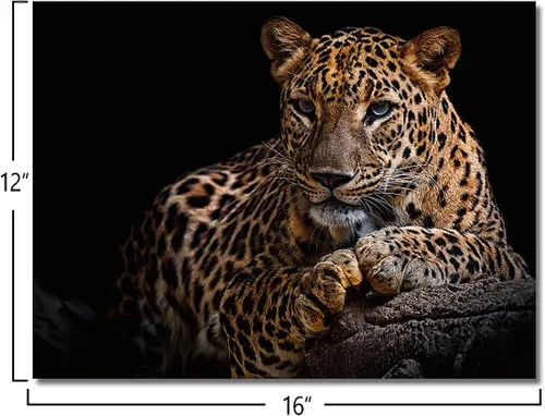 Vista 2 de Impresiones en lienzo de leopardo con fondo negro y vida silvestre dorada, arte de pared de leopardo y guepardo, ilustraciones para baño